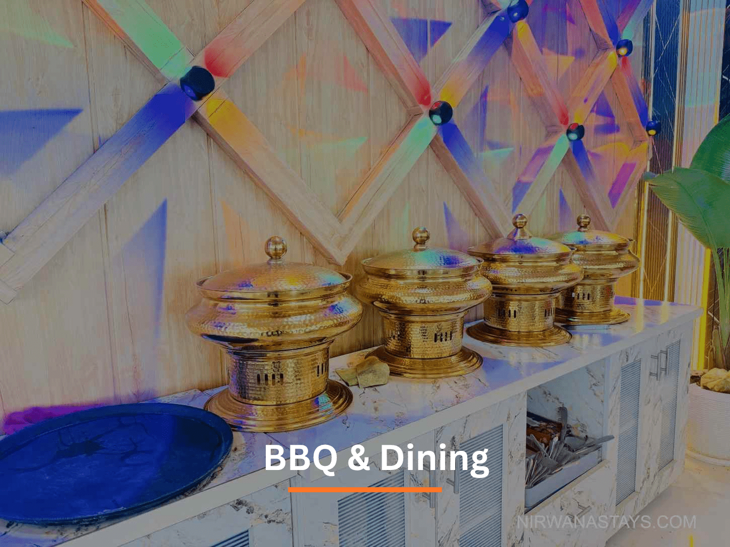 BBQ-Dining-4.png
